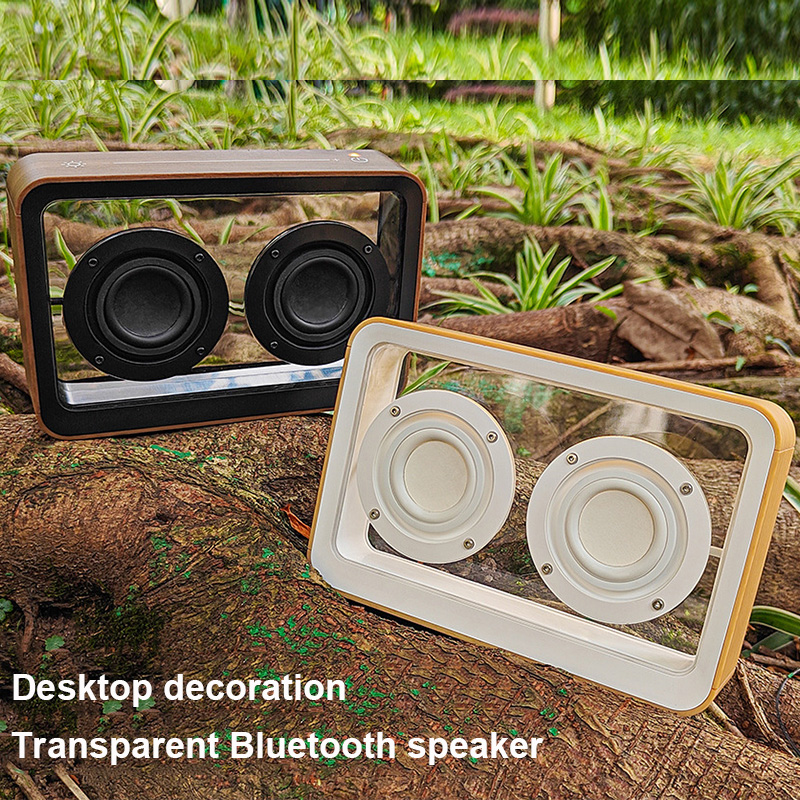 Amazon Music Audio Quality - Creatieve transparante Bluetooth-luidspreker met dubbele hoorn