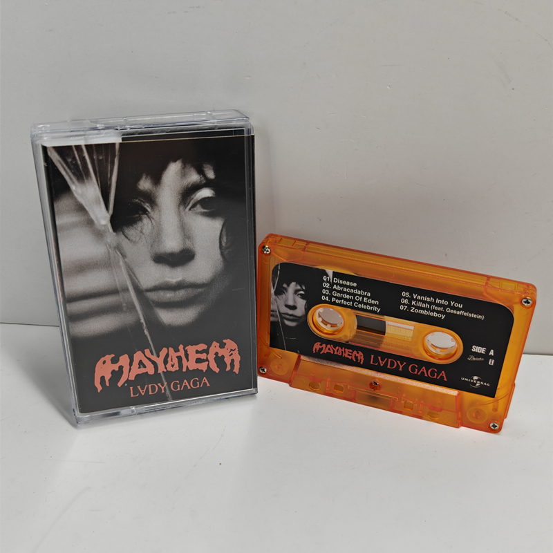 Nieuwe Pop Lady Gaga The Fame  - Audio Music Recorder recensie en prijs