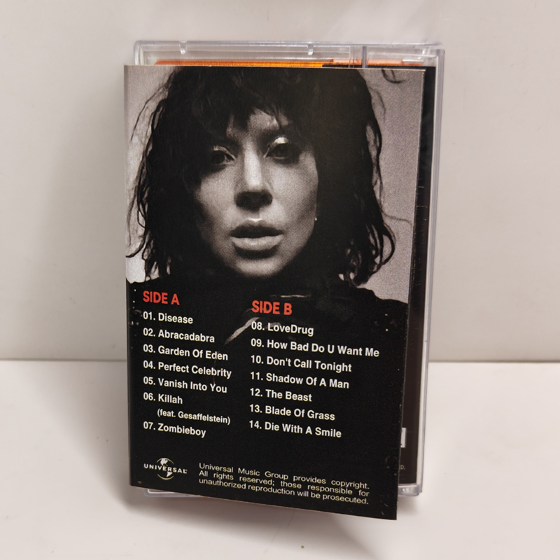 Nieuwe Pop Lady Gaga The Fame  - Audio Music Recorder recensie en prijs
